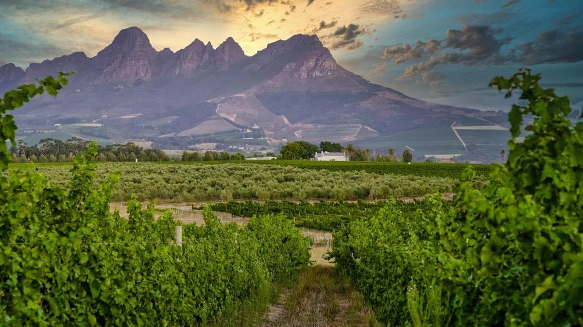 Invest in Fractionalised Real-World Assets