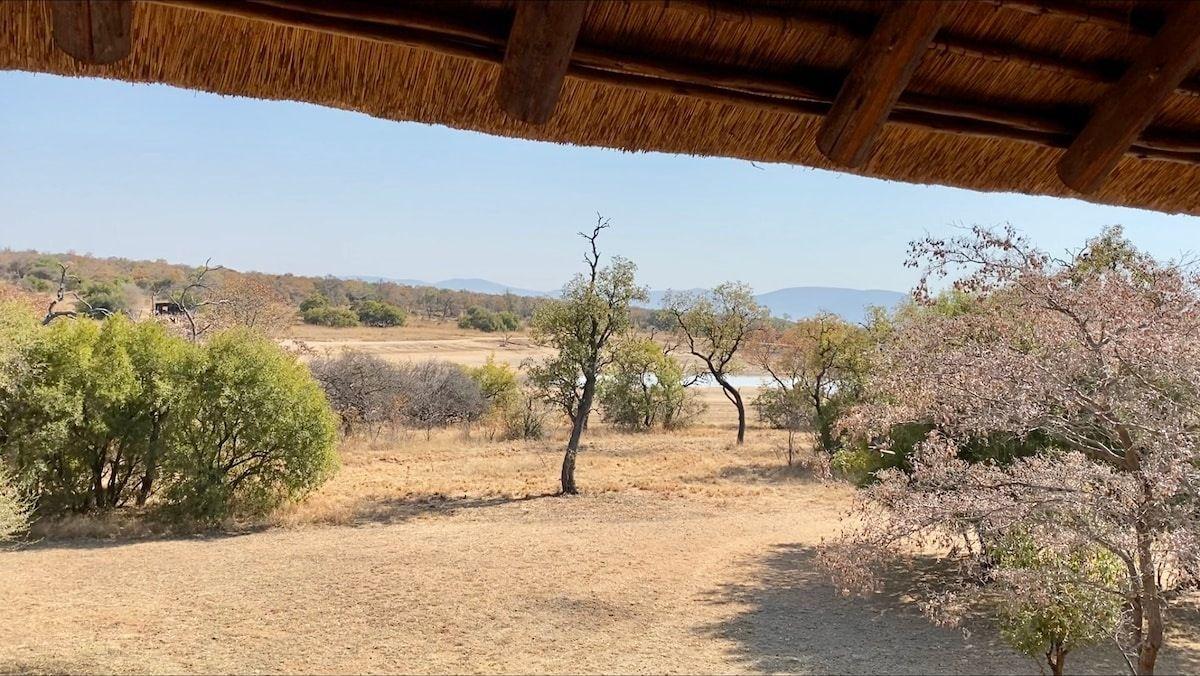 The view across the bushveld from under the thatch